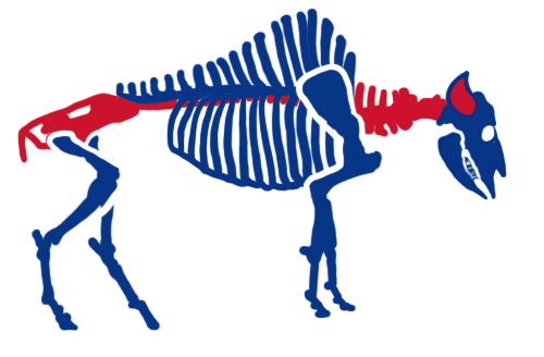 Buffalo Bills Halloween Logo iron on transfers...